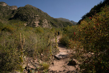 Wall Mural - Hiking outdoor. View of the trekking path across the green meadow and hills un a sunny day.