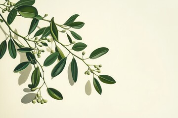 Canvas Print - Green Branch with Buds and Leaves on a White Background