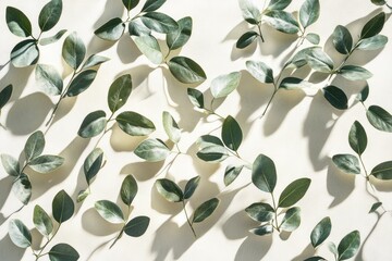 Canvas Print - Green Leaves and Shadows on a White Surface