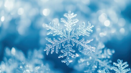 Fototapete - Delicate snowflakes shimmer in the light, creating an enchanting winter scene with a captivating blue background. Generative AI