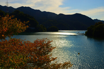 Wall Mural - 相模湖の風景