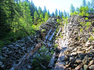 Remains of an old wooden and stone water sluice in a forest