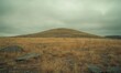 © TheoTheWizard - A large hill with a rocky top and a field of dry grass