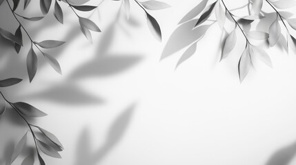Poster - Overlay effect for images and mockups featuring a gray shadow from willow leaves and branches on a light backdrop Abstract nature inspired blurred background with space for text