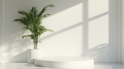 Poster - Minimalist white podium in a studio with a plant and natural light 3D render
