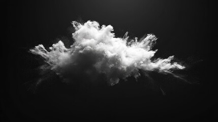 Poster - Freeze motion of white particles on a black background featuring a 3D cartoon rendering Abstract dust explosion and overlay texture