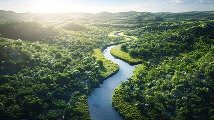 Wall Mural - Aerial View of a Serene River Winding Through Lush Green Forest