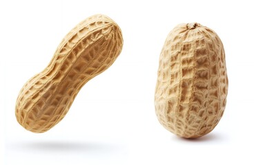 Two peanut shells, one in a vertical position and the other lying on its side.