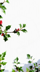 Canvas Print - branch with green leaves red berries