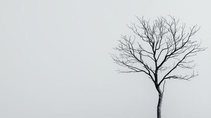 Poster - A solitary, bare tree stands against a minimalistic grey background, evoking themes of solitude and introspection.