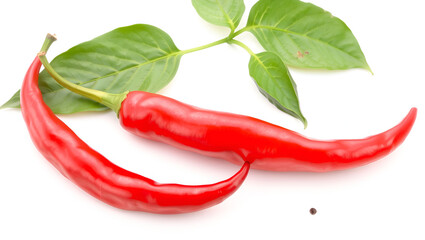 Two red chili peppers isolated on the white