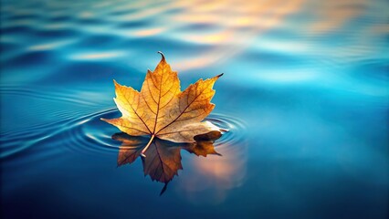 Wall Mural - Close-up serene single leaf floating on water with empty space