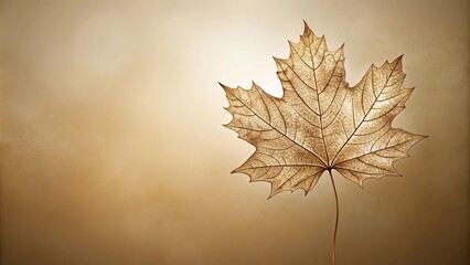 close-up outlined fall maple leaf on sepia background