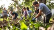 © pkproject - Volunteers Clearing Storm Debris in Lush Community Park for Environmental