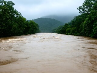 Poster - Flooded River Surrounded by Lush Green Forest