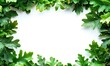 © simba kim - oak foliage. with copy space image, Generative AI