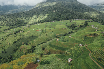 rice fields on a mountain and take photo in the Ban Pa Bong Piang, Mae Chaem District, Chiang Mai Province, northern Thailand in the rainy season.