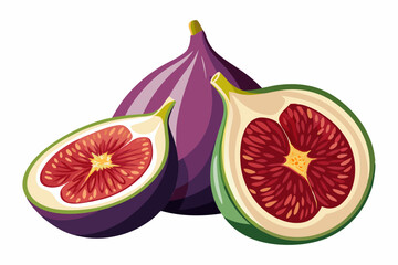 Poster - Fig Fruit realistic and detailed vector illustration