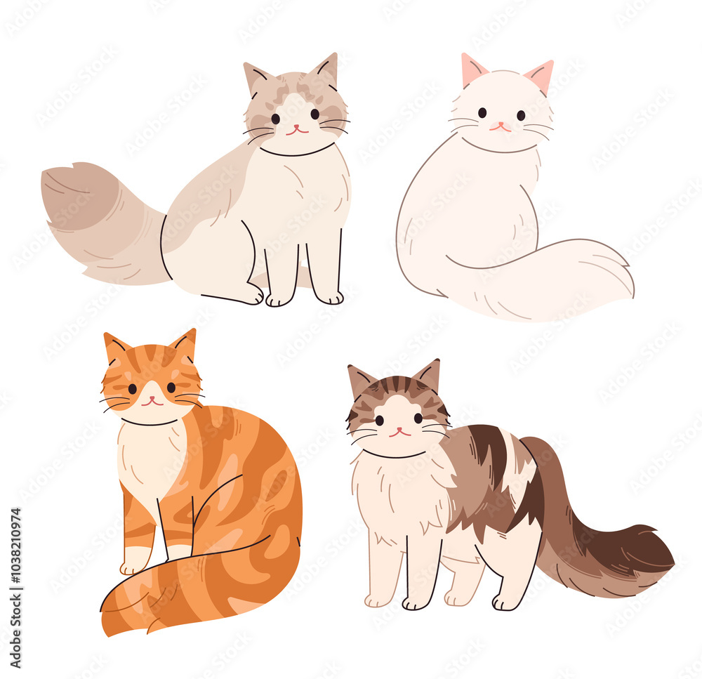 Long-haired cats. Siberian cat, Ragdoll, Turkish Angora, Norwegian ...