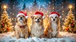 © Wanlop - Three Furry Friends Wearing Santa Hats in a Festive Winter Wonderland, Cute Pets Celebrating Christmas, Adorable Animals, Holiday Spirit, Joyful Companions, Seasonal Cheer
