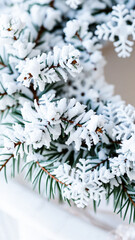 Canvas Print - frosty evergreen branch