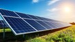 © Paul GoToMars - Solar panels shining under the sun in a green field.