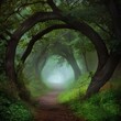 © Lalə - Mist-shrouded foliage