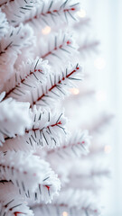 Poster - frosted pine branch with soft lighting