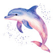 © Daylife - A whimsical watercolor depiction of a dolphin swimming through a starry night sky, blending shades of blue, pink, and purple. watercolor, clipart, isolated on transparent background