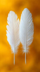 Poster - Two elegant white feathers dancing softly the air their intricate details highlighted against a vibrant warm yellow backdrop symbolizing purity and gentle serenity in nature