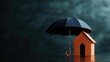 © sathon - House in a storm under a strong umbrella, insurance metaphor, 3D illustration,