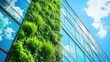 © Nuttaya Nampai - Green Wall on Modern Building with Clear Sky