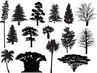 Wall Mural - different trees fifteen silhouettes isolated on white