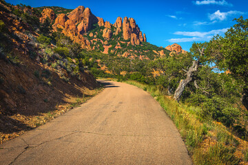 Wall Mural - Narrow road and red rocks in the Esterel massif, France