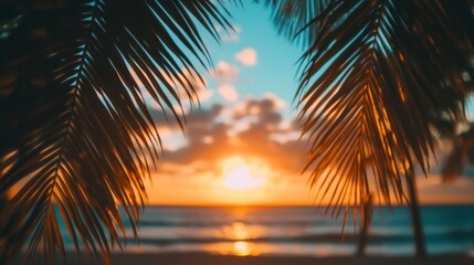 Serene Sunset Through Palm Leaves at Beach