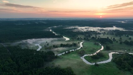 Wall Mural - aerial view of the river in the forest