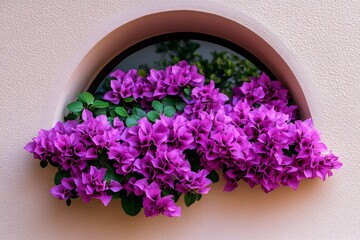 Bougainvillea vines framing a tropical window, their vibrant flowers bright against a whitewashed wall