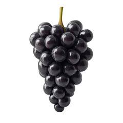 Wall Mural - Black grapes bunch isolated on white background. Generative AI