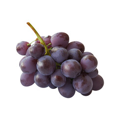 Wall Mural - Blue grapes bunch isolated on white background. Generative AI