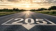 © @adha - Road to 205 -  A Long Road Ahead