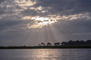 Wall Mural - Dawn at Mabamba bay, Lake Victoria, Uganda.