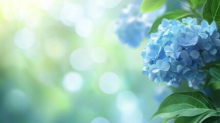 Wall Mural - a blue hydrangea flower on a branch with green leaves against a blurry background
