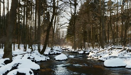 Wall Mural - river in the forest in winter