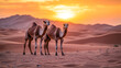 © Graphics.Parasite - Silhouettes of Camels in the Arabian Desert