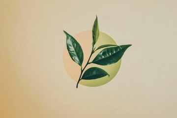 Leinwandbilder - A single tea leaf elegantly rests against a soft pastel circle, emphasizing the beauty of minimalism and nature in design. Generative AI