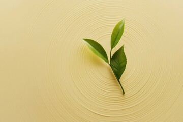 Leinwandbilder - A single tea leaf lies on a smooth, pale yellow surface, forming delicate ripples in the light, evoking tranquility and simplicity. Generative AI