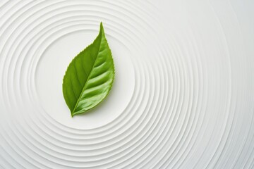 Leinwandbilder - A green tea leaf gently placed on a textured surface, surrounded by soothing circular lines that enhance its natural beauty and elegance. Generative AI