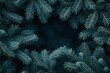 © Nia™ - Green Abies Or Christmas Tree Branch Background, copy space background - generative ai