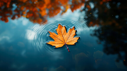 A single, orange maple leaf floats on calm blue water, with ripples spreading outward. The reflection of the sky and autumn leaves can be seen in the water.