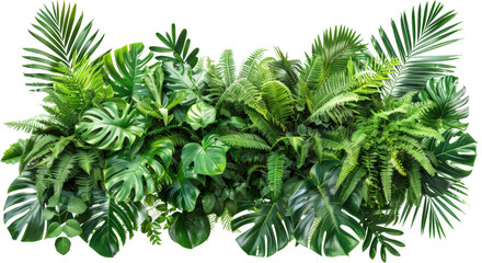 Lush green tropical leaves